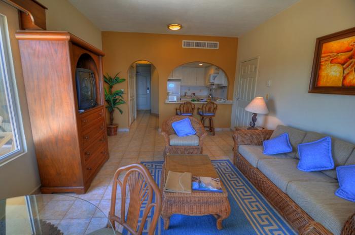 Living Room and Full Kitchen #1