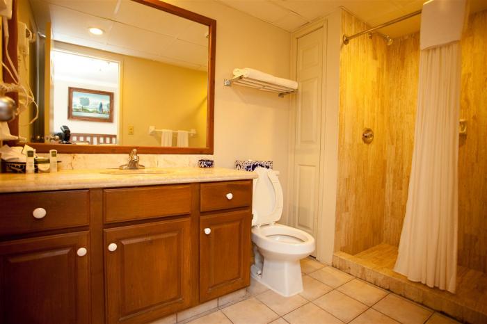 Villa Del Palmar 2 Bedroom Second Bathroom