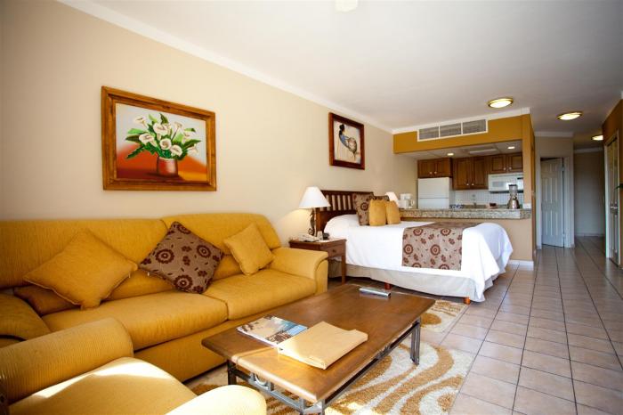 Villa Del Palmar Studio Suite Living Area